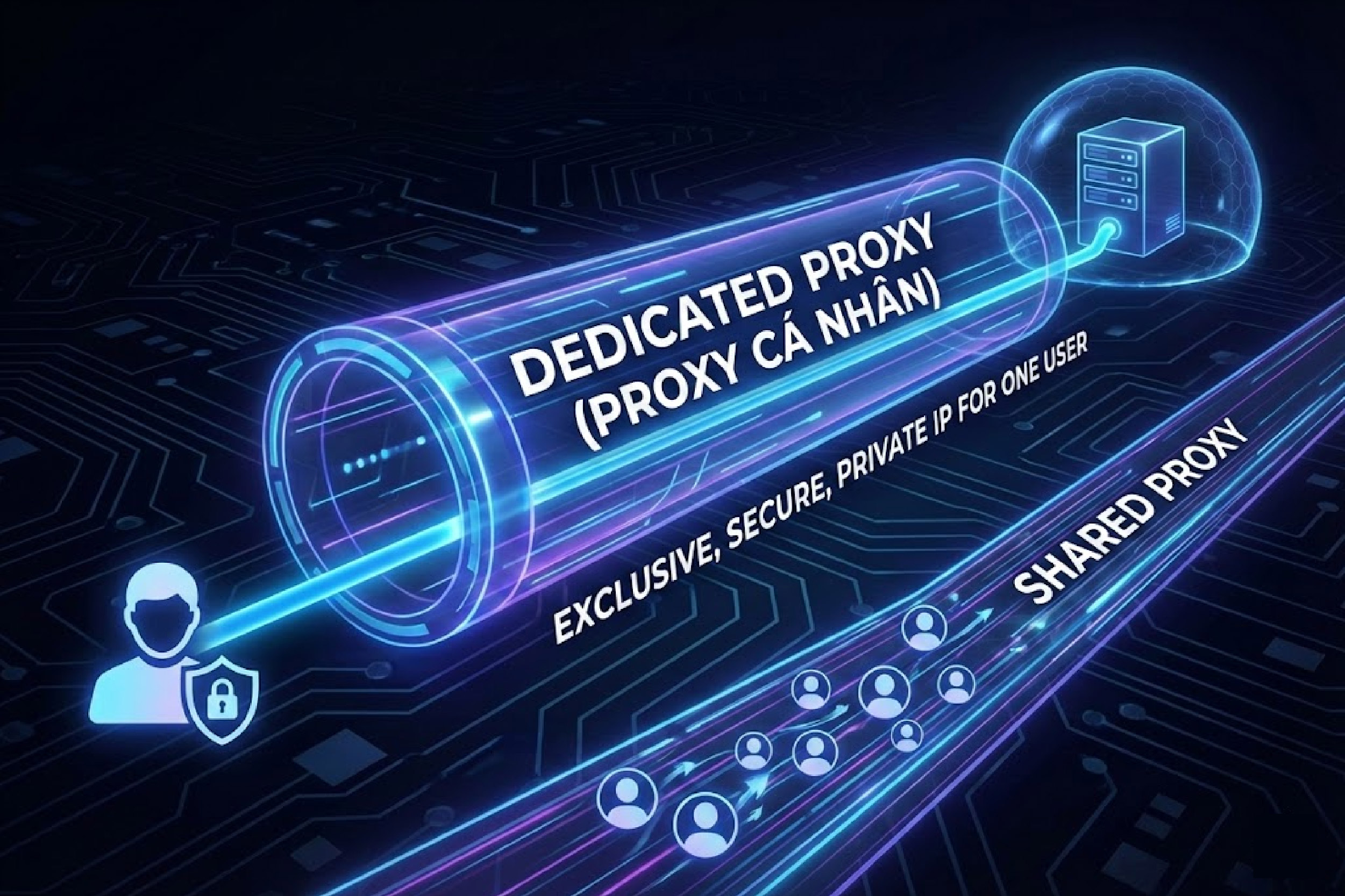 Dedicated Proxy và Shared Proxy khác gì nhau?