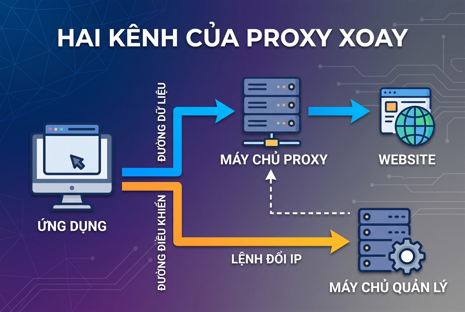Hai kênh của proxy xoay