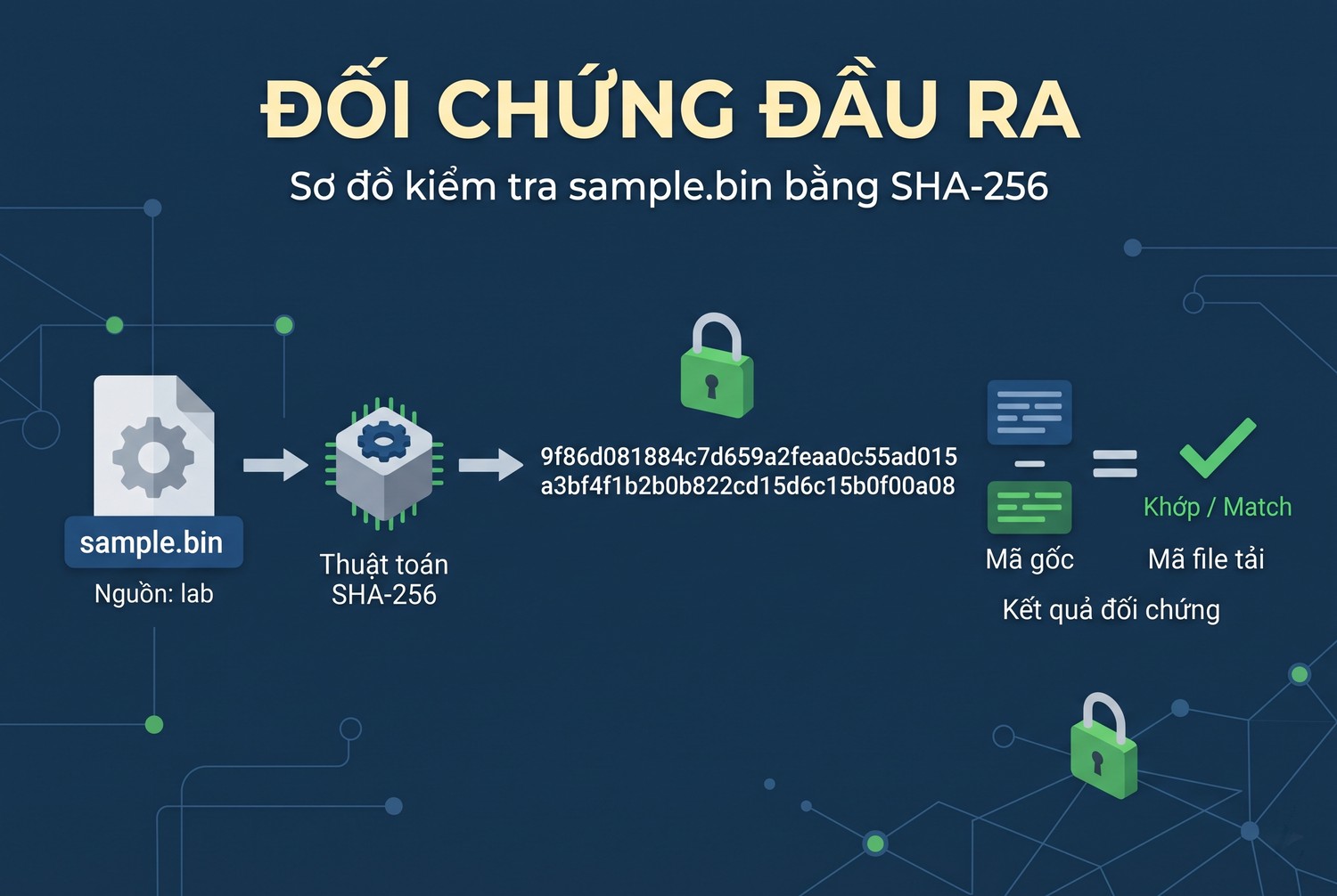 Đối chứng đầu ra