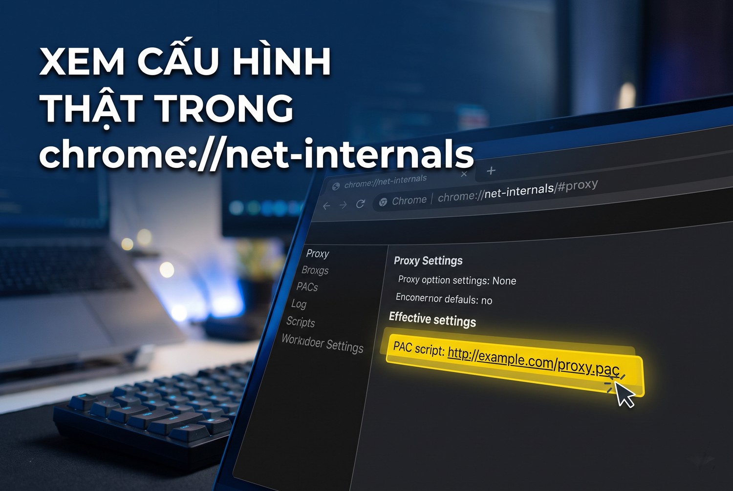 Xem cấu hình thật trong chrome://net-internals