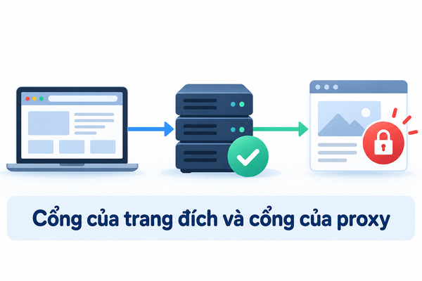 Cổng của trang đích và cổng của proxy