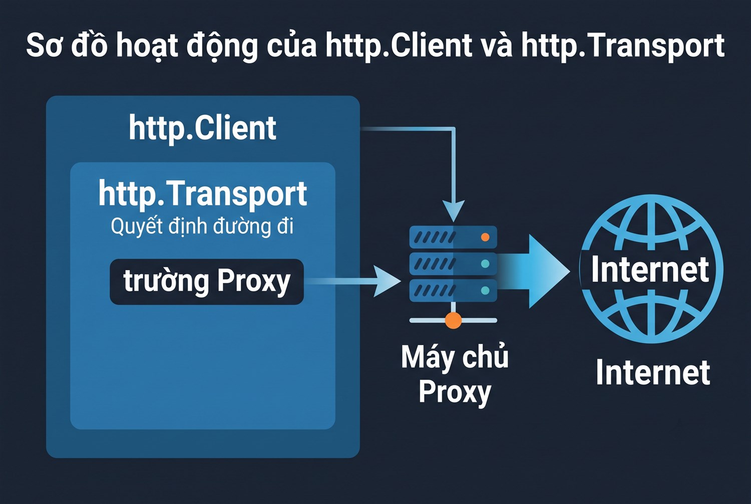 Transport quyết định đường đi
