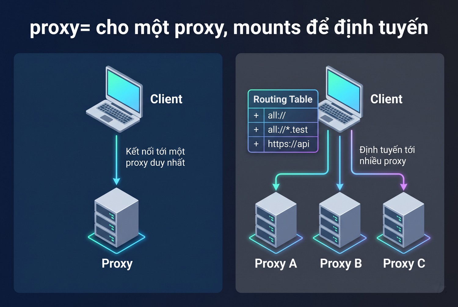 proxy= cho một proxy, mounts để định tuyến