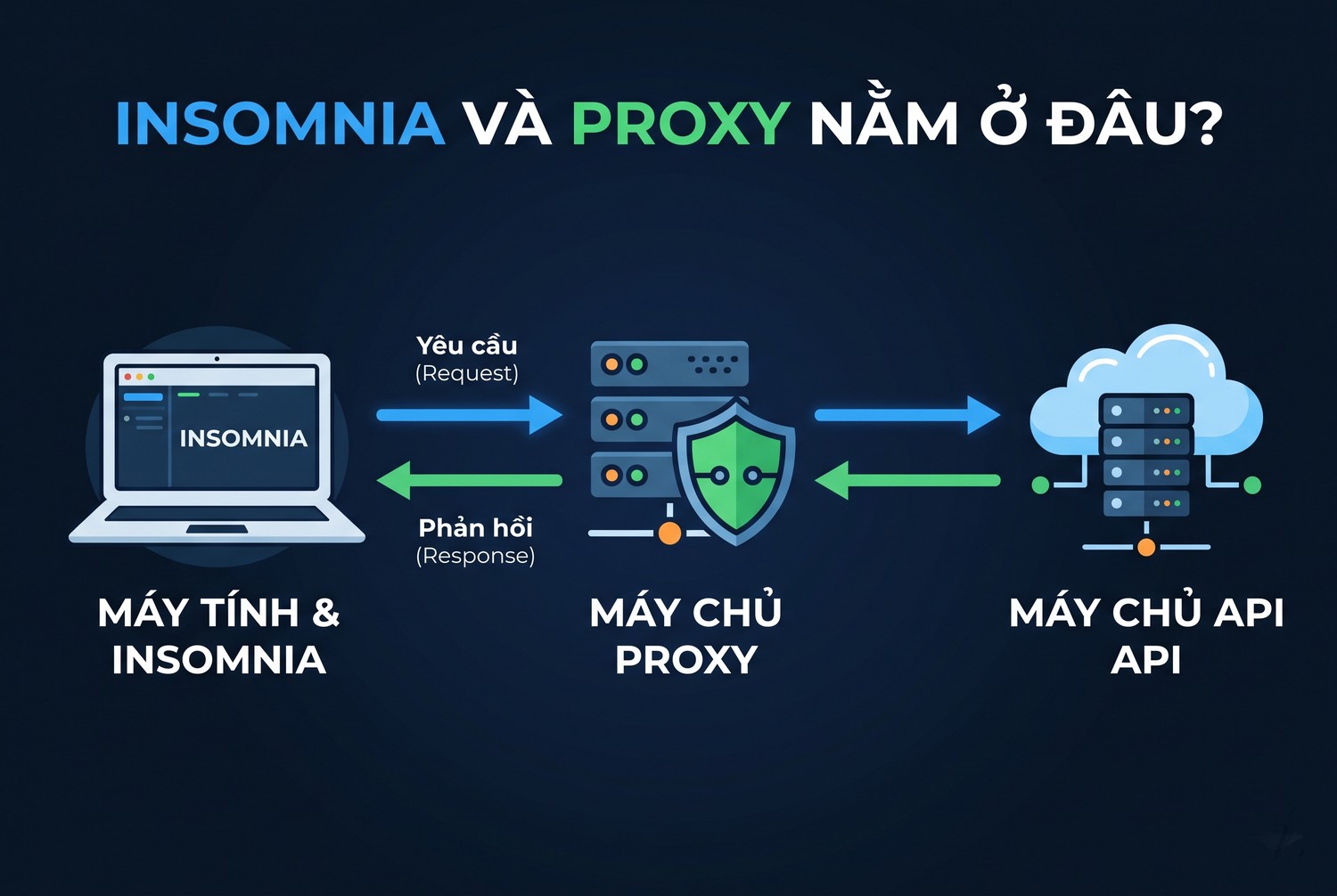 Insomnia và proxy nằm ở đâu