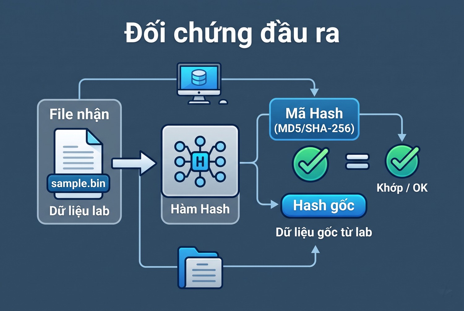 Đối chứng đầu ra