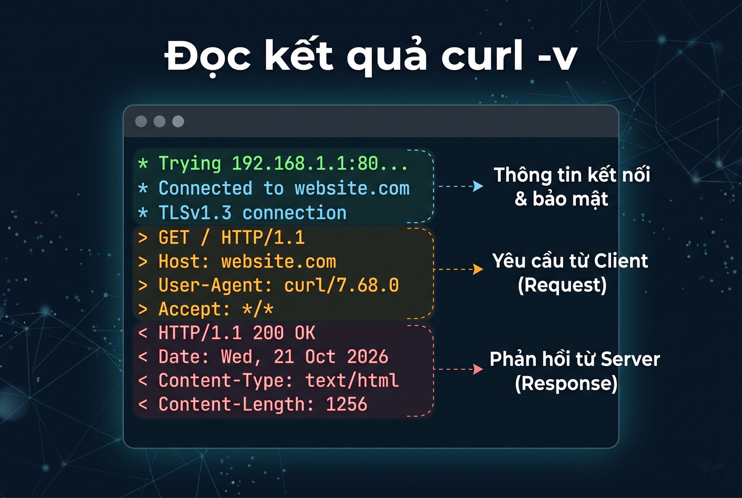 Đọc kết quả curl -v