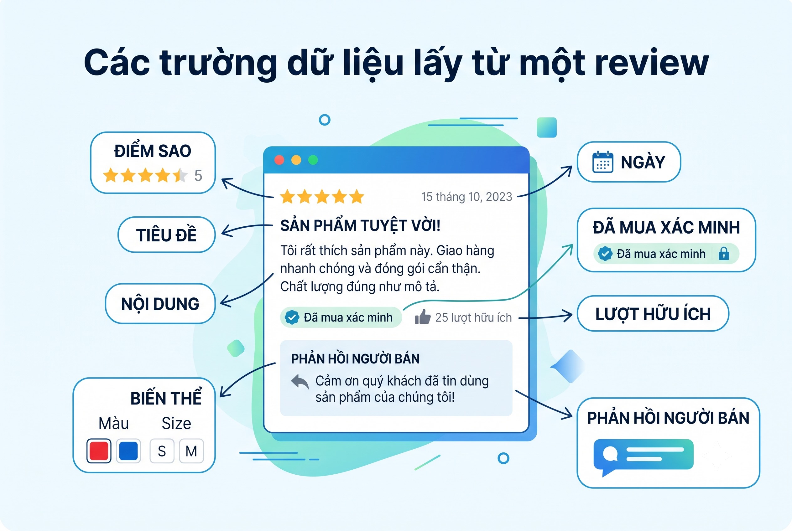 C&aacute;c trường dữ liệu lấy từ một review