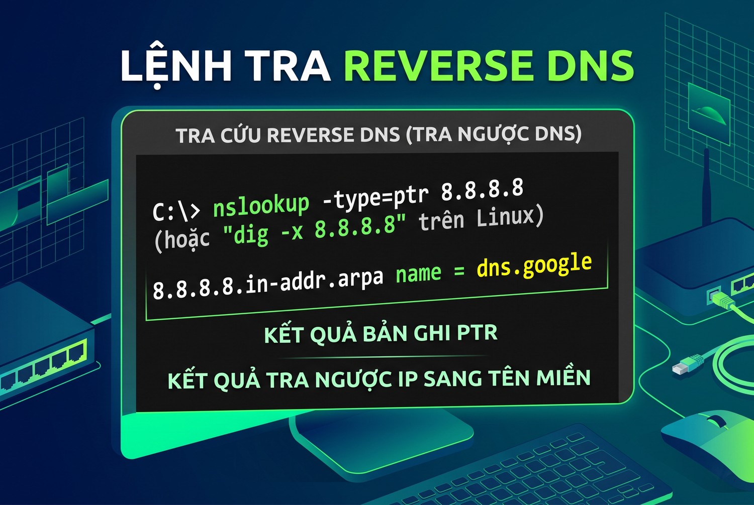 Lệnh tra reverse DNS