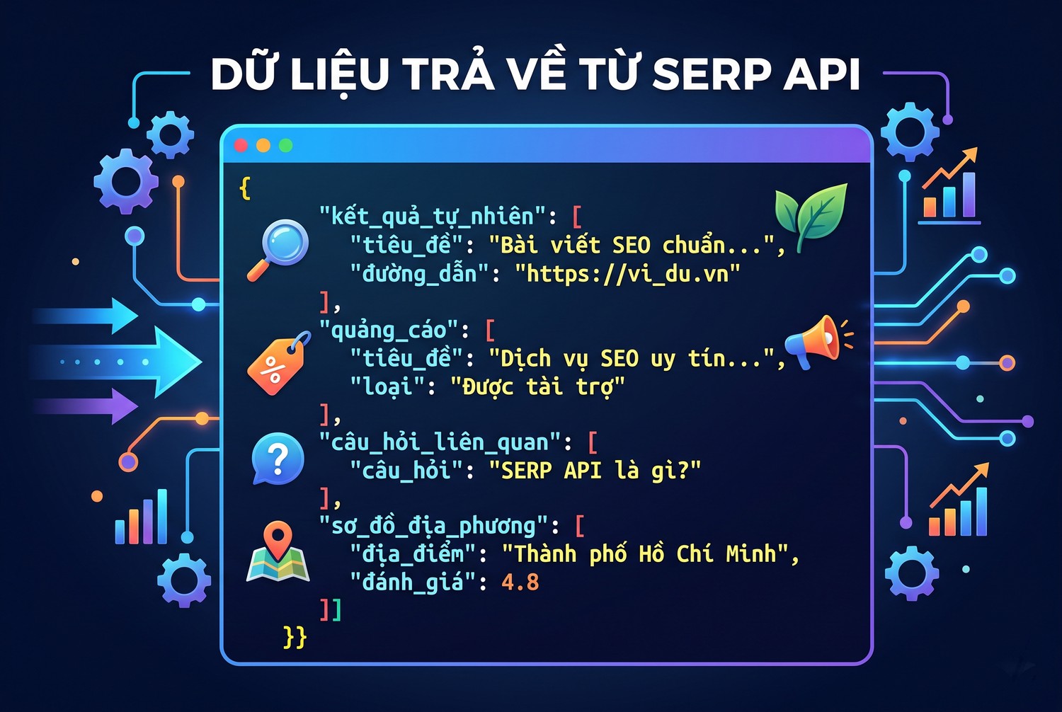 Dữ liệu trả về từ SERP API
