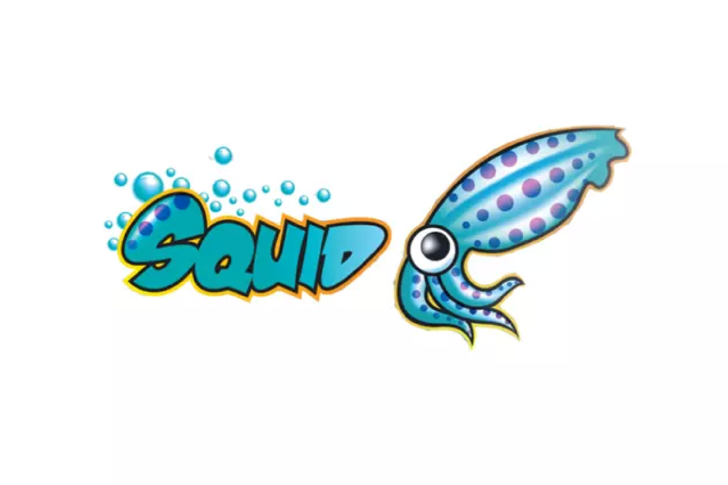 Phần mềm Squid