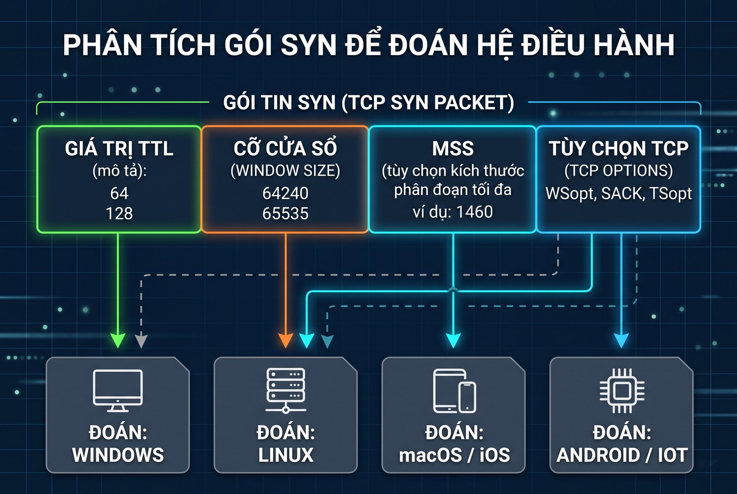 Các trường lộ hệ điều hành