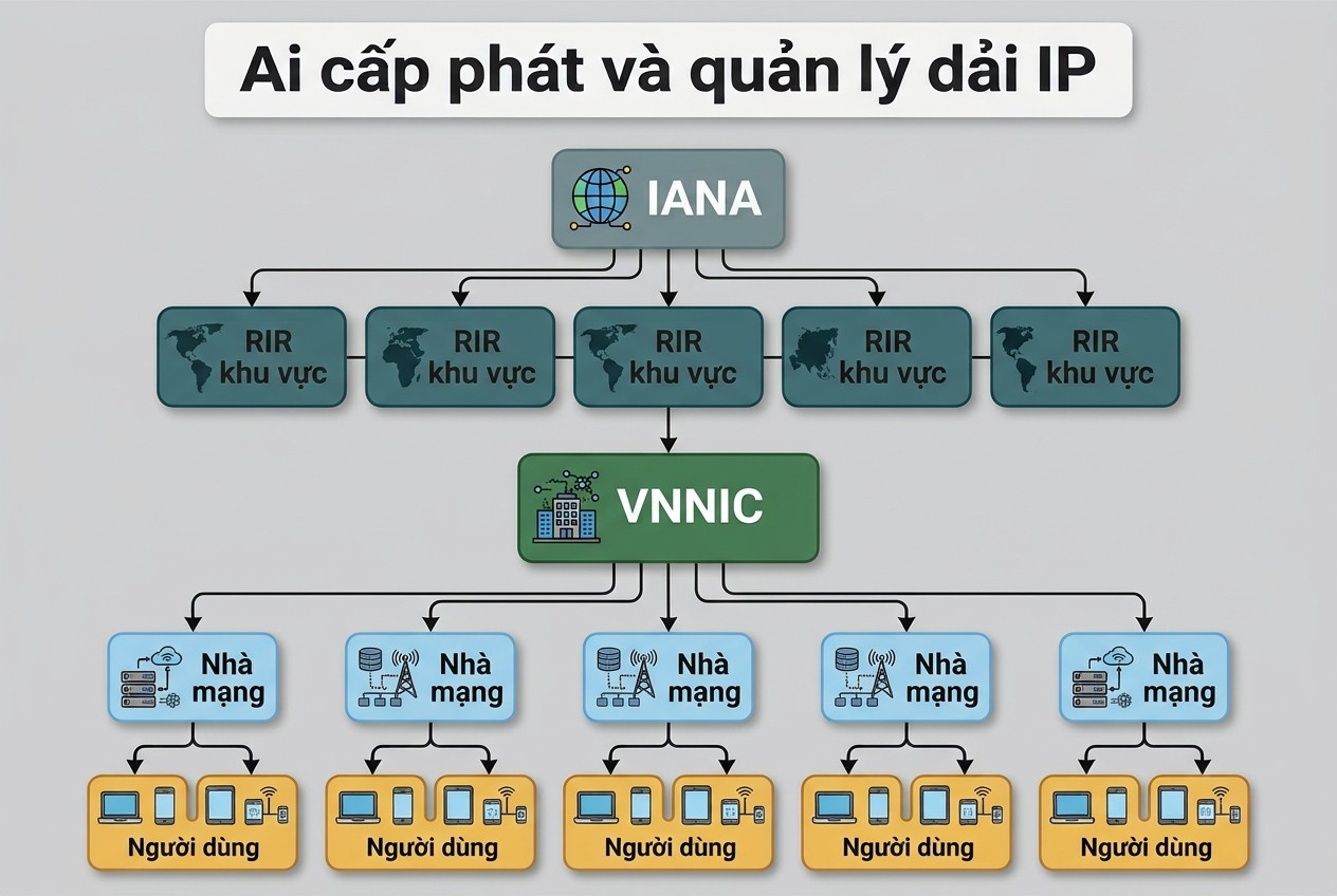 Ai cấp phát và quản lý dải IP